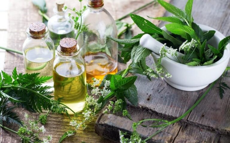 Remedii naturale pentru infecții respiratorii – plante medicinale și uleiuri esențiale utilizate în fitoterapia afecțiunilor ORL.